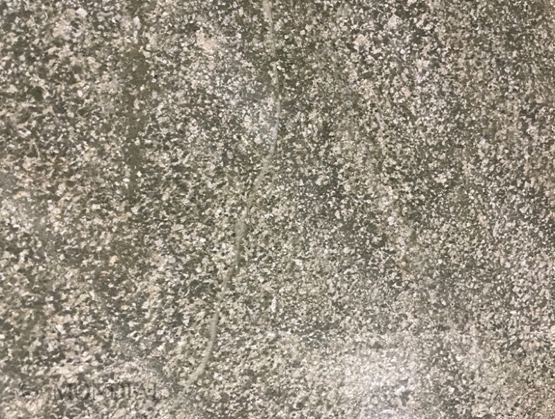 Coast Green natural stone slab